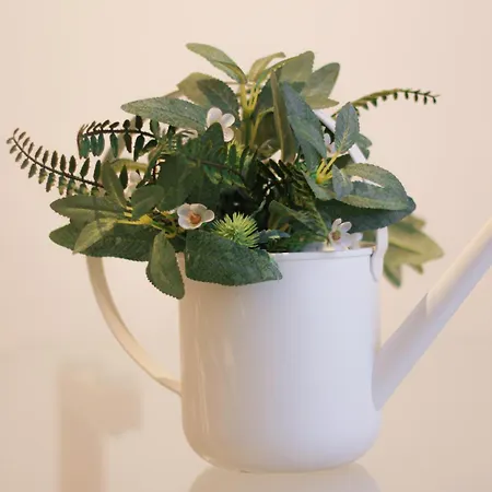 Wolf House 3* Coppito